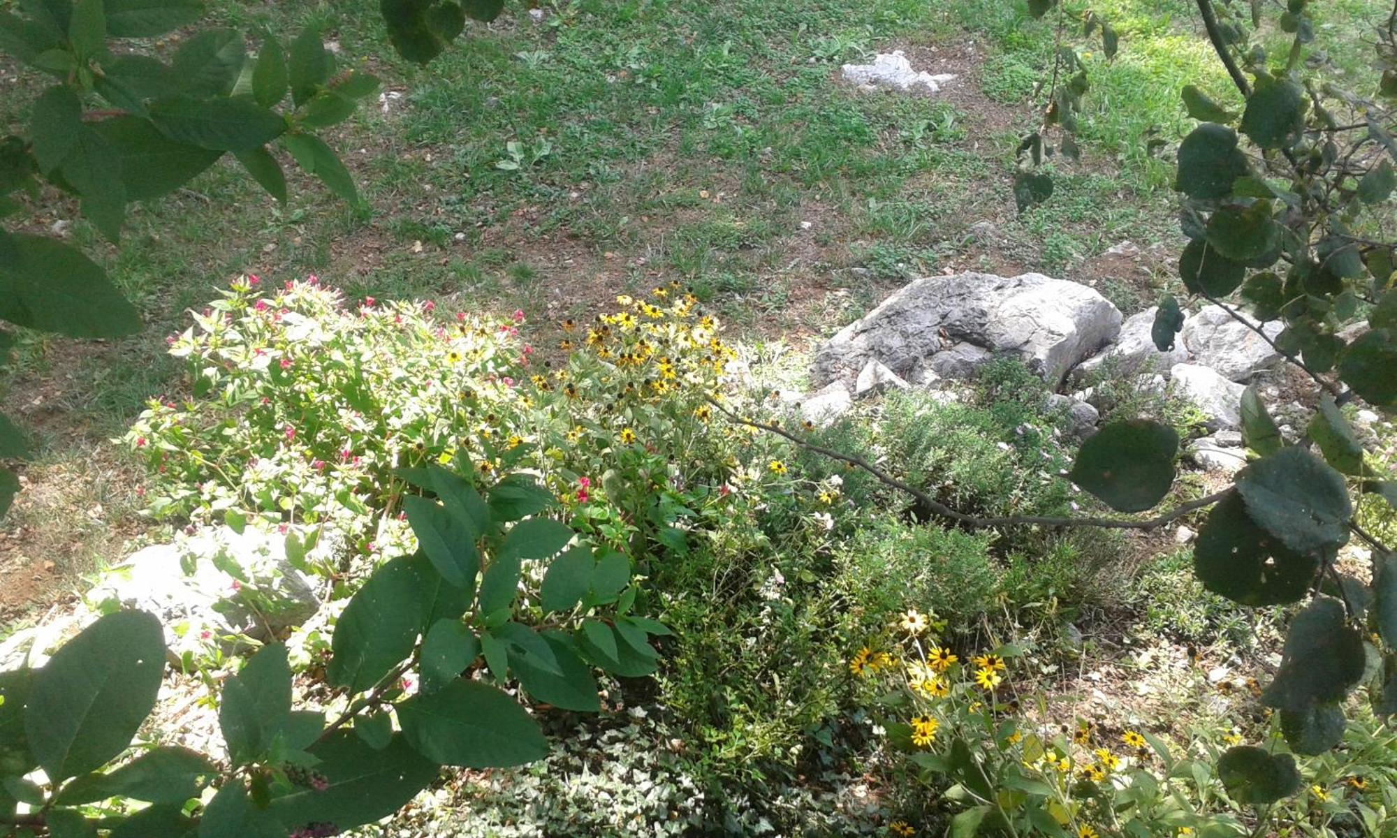 Guest House Rabenseifner - Opatija Jurdani Exterior photo